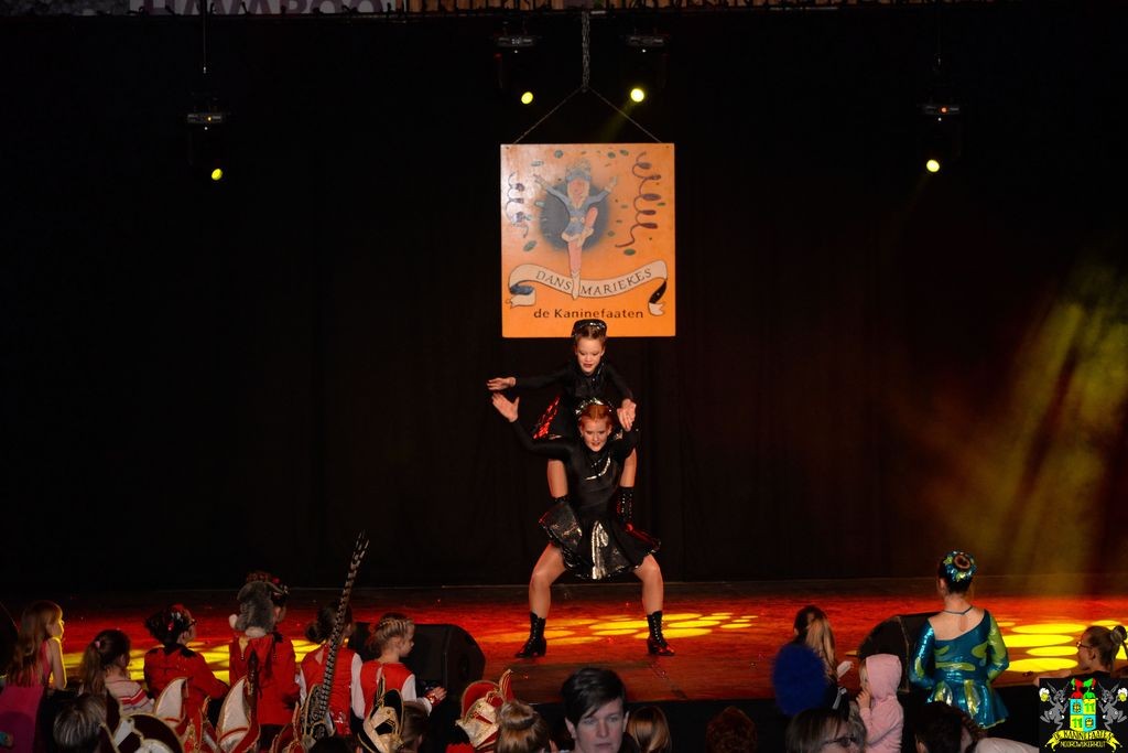 ../Images/Dansmarieke festival 2018 196.jpg